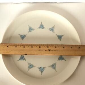 Taylorton Rhapsody Blue Floral Dinner Plate 10" Set of 2 USA MCM VINTAGE